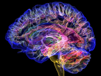 三级黄色操逼视频大脑植入物有助于严重头部损伤恢复